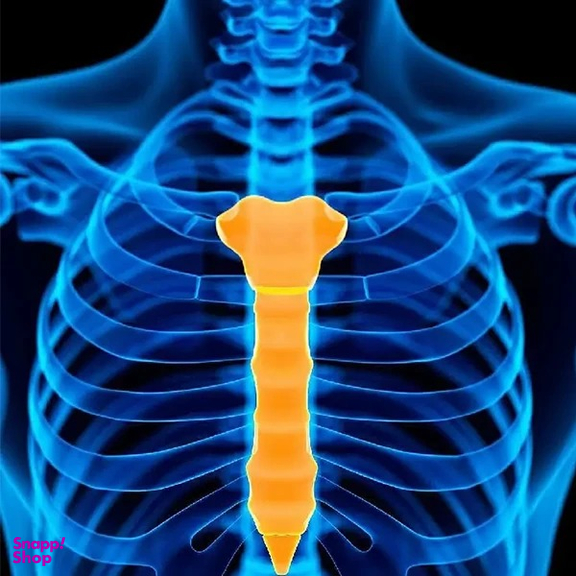 حمایت کننده قفسه سینه تسکین طب مدل 152600045