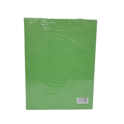 دفتر کلاسوری 100 برگ میکرو طرح گل و پرنده کد 026