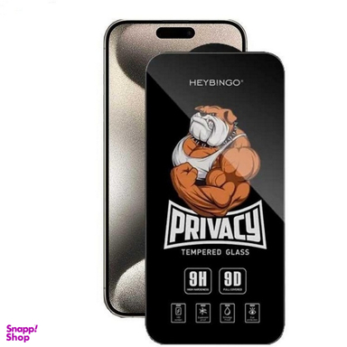 محافظ صفحه نمایش گوشی موبایل پرایویسی بینگو مناسب اپل آیفون X/XS/ 11 PRO