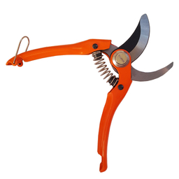 قیچی باغبانی تیوان کد RO - 3300330 مدل 330