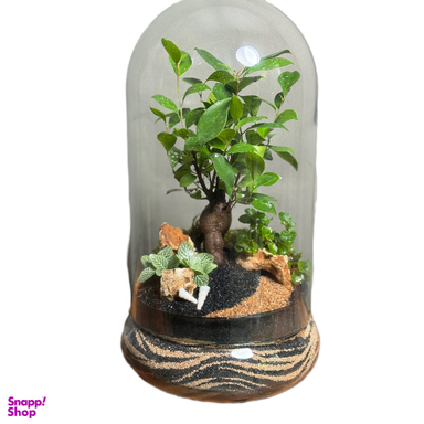 تراریوم بنسای پلنت لند مدل یلو موج