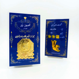 سکه گرمی طلا 18 عیار امین زر کد 500