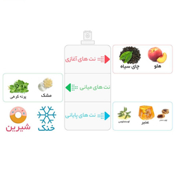 ادوپرفیوم زنانه ایفوریا مدل اکلت حجم 100 میلی لیتر