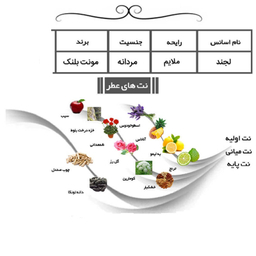 ادوپرفیوم مردانه ایفوریا مدل Legend حجم 100 میلی لیتر