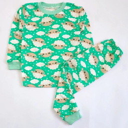 ست تیشرت آستین بلند و شلوار راحتی نوزادی مدل ببعی کد 4156 رنگ سبز