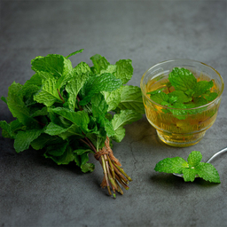 عرق بادرنجبویه ارگانیک ژیک حجم 1 لیتر