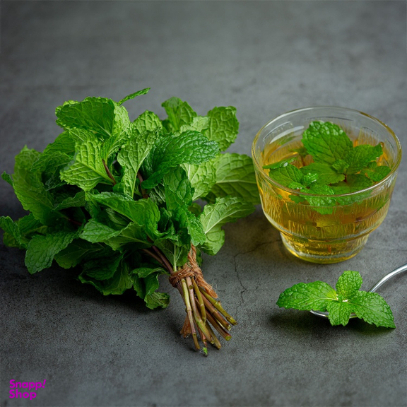 عرق بادرنجبویه ارگانیک ژیک حجم 1 لیتر