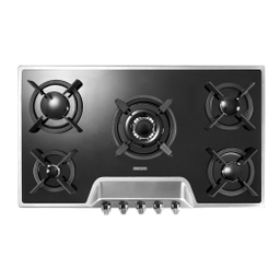 اجاق گاز صفحه ای استیل البرز مدل G-5901 S