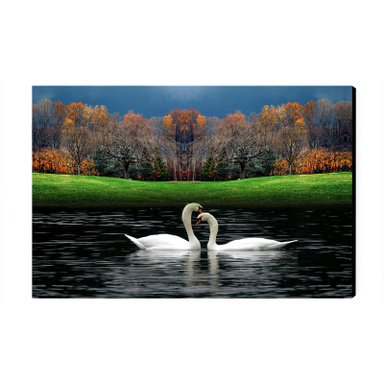 تابلو شاسی عرش مدل منظره طبیعت و قو کد As4127