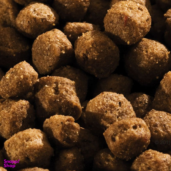 غذای خشک سگ هپی داگ مدل Mini Adult وزن 1 کیلوگرم