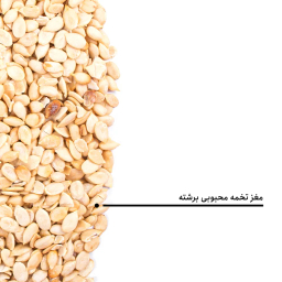 مغز تخمه محبوبی برشته بارجیل