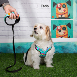 قلاده سینه ای سگ تادو کد C110 سایز S