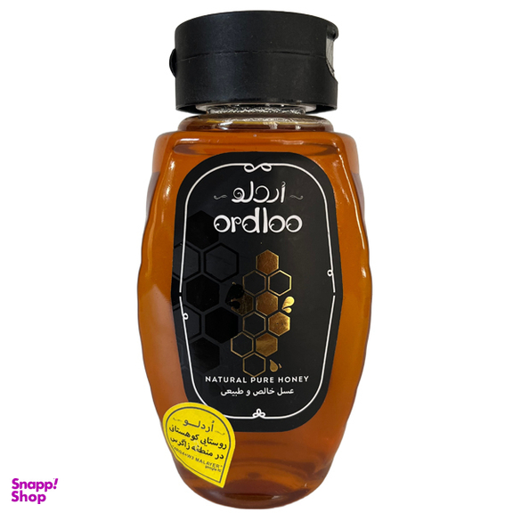 عسل اسکوئیز اردلو وزن 680 گرم