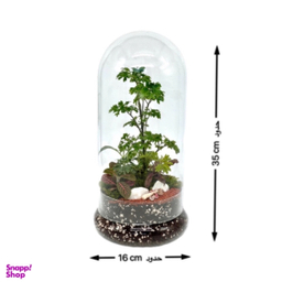 تراریوم مدل فلکسی بلند
