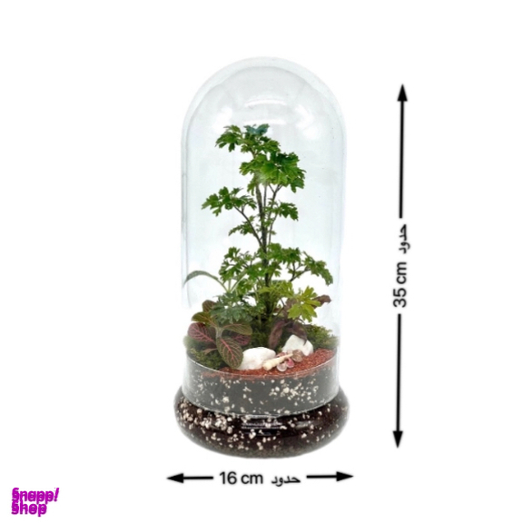 تراریوم مدل فلکسی بلند