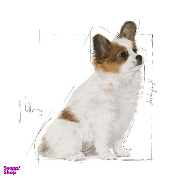 غذای خشک رویال کنین سگ پاپی ایکس اسمال وزن 1.5 کیلوگرم