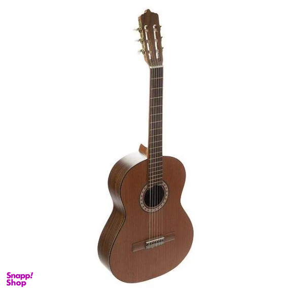 گیتار پارسی مدل M6
