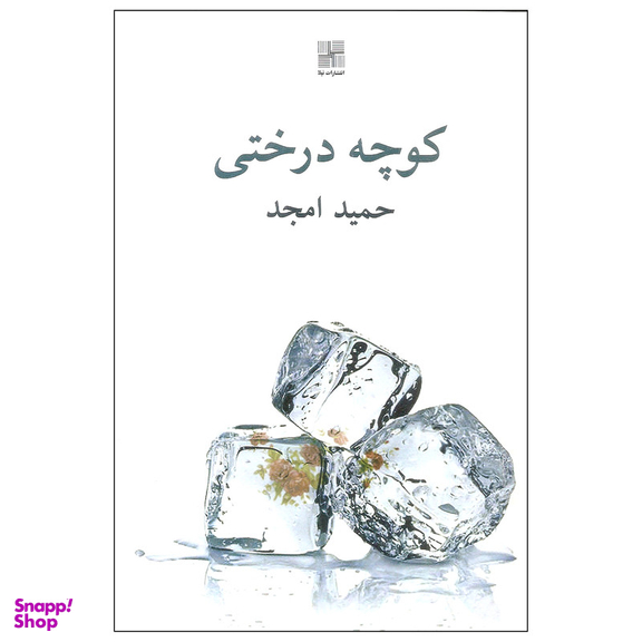 کتاب کوچه درختی اثر حمید امجد انتشارات نیلا