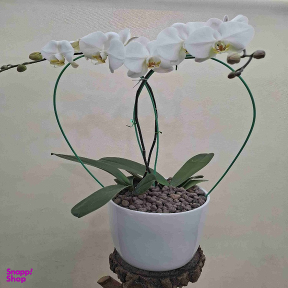 گلدان گل طبیعی کد p-0441