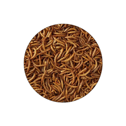 غذای ماهی میل ورم شهرپت مدل Mealworms وزن 100 گرم