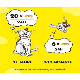 تشویقی گربه دریمیز مدل Snack With Fish & Cheese وزن 60 گرم