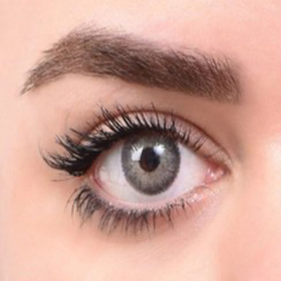 لنز رویال ویژن مدل Innocent White شماره 06 رنگ خاکستری یخی دوردار