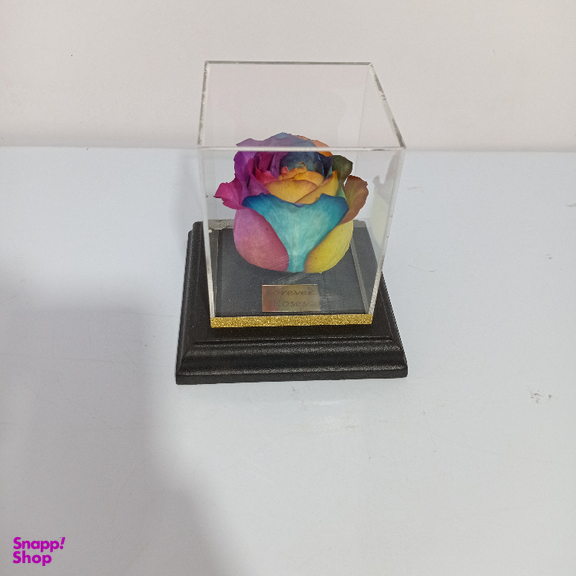 گل خشک رز جاودان کد 507
