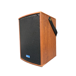 اسپیکر بلوتوثی قابل حمل پودر مدل PD-1010