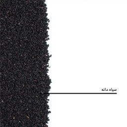 سیاه دانه بارجیل