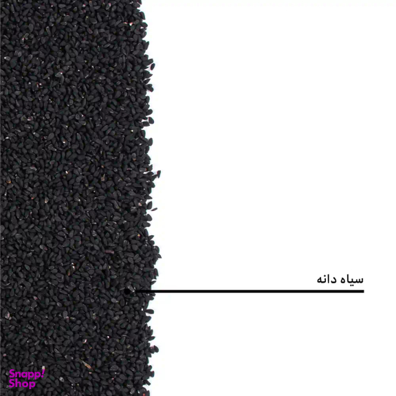 سیاه دانه بارجیل