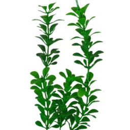گیاه تزیینی آکواریوم مدل سانترا کد S25