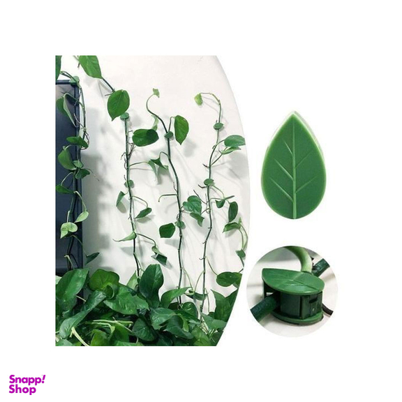 گیره نگهدارنده گیاه بسته 10 عددی