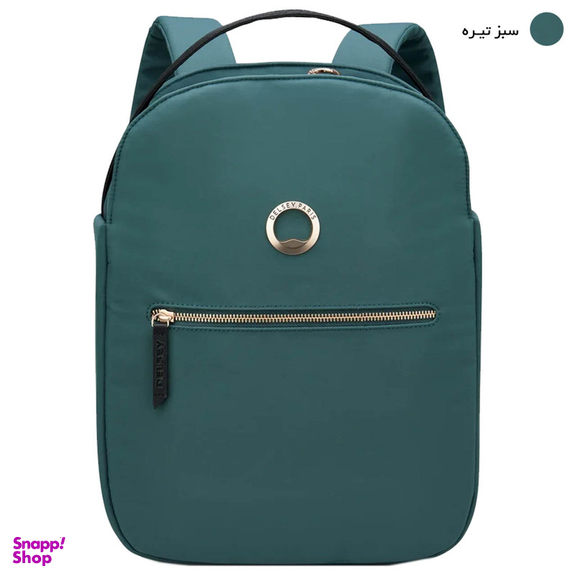 کوله پشتی دلسی مدل SECURSTYLE 1-CPT