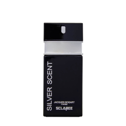 ادوپرفیوم مردانه جیبی اسکلاره مدل Silver Scent