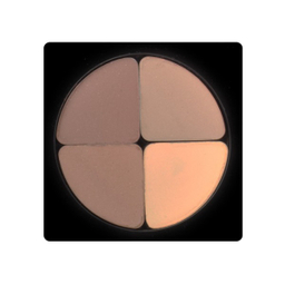 پالت سایه چشم لاکچری کوین شماره 601