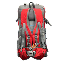 کوله پشتی کوهنوردی 45 لیتری دیوتر مدل AS-1002