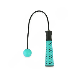 طناب ورزشی بدنسازی گلدن استار مدل PS-J635 BRS