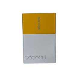 ویدیو پروژکتور بورگو مدل Borrego YG300