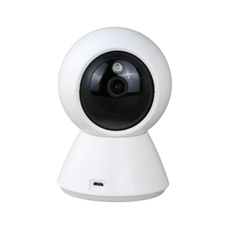 دوربین مداربسته تحت شبکه اکم مدل دو مگاپیکسل کد Z23