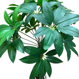 درختچه مصنوعی پاچیرا کد 5716