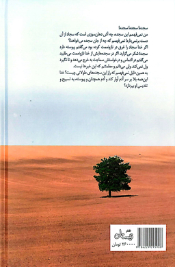 کتاب تویی به جای همه اثر سید مهدی شجاعی انتشارات کتاب نیستان