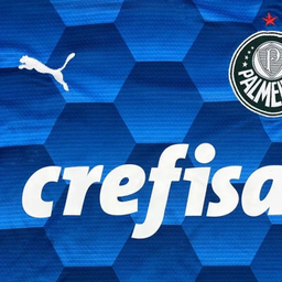 تیشرت ورزشی پسرانه مدل پالمیراس کد NK-3354 رنگ آبی