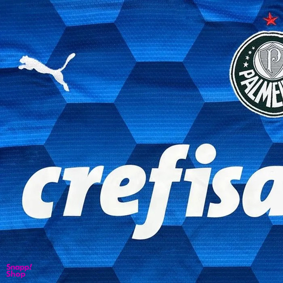 تیشرت ورزشی پسرانه مدل پالمیراس کد NK-3354 رنگ آبی