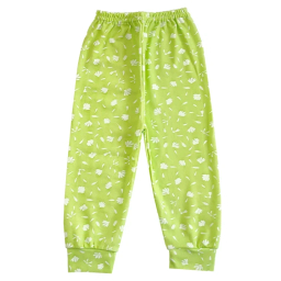 ست تیشرت آستین بلند و شلوار راحتی نوزادی مدل شکوفه کد 4130 رنگ سبز