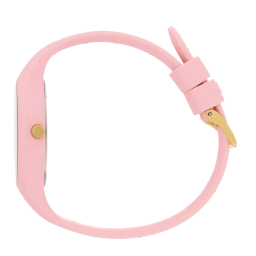 ساعت عقربه ای زنانه آیس واچ مدل 021362