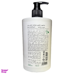 شامپو احیا کننده مو دژن مدل چای سبز حجم 750 میلی لیتر