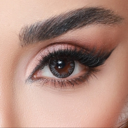 لنز رنگی سالیانه هرا شماره 6 کد HJ210 رنگ طوسی دور مشکی