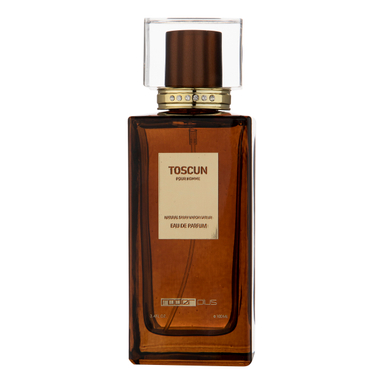 ادو پرفیوم مردانه رودیر مدل Toscun حجم 100 میلی‌لیتر