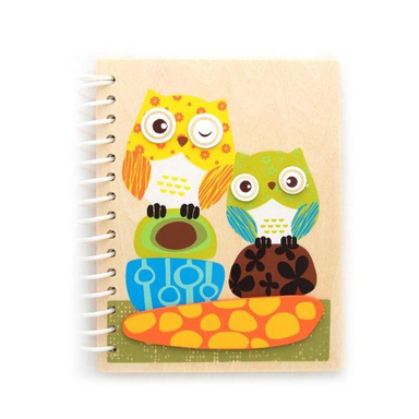 دفترچه یادداشت 60 برگ پیکاردو طرح جغد کد P-DF-02-Owl