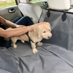 کاور صندلی خودرو پتیوو مدل اکونومی